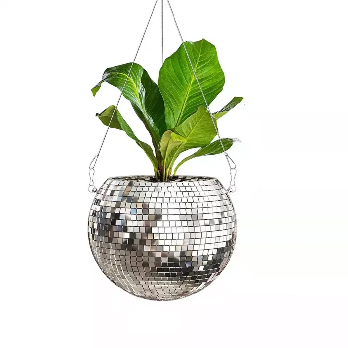Disco ball potted flower