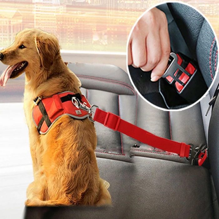 Pet Car Seat Belt 1