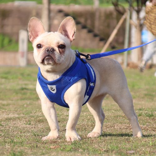Pet chest harness Vest dog leash Reflective breathable dog leash